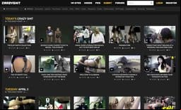 CrazyShit site thumbnail